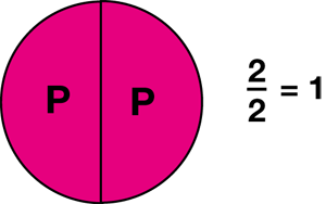 pie chart showing two equal halves, 2/2 = 1