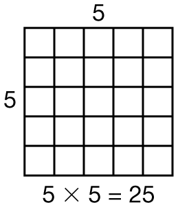 5 x 5 square grid showing 25