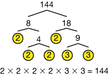 factor tree